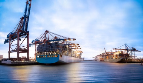 Waltershofer Hafen in Hamburg mit Containerschiffen